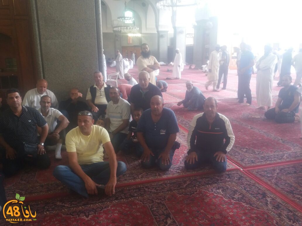 mot3tmren yaffaja (17).jpg